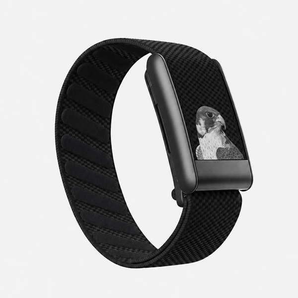 Falcon Black